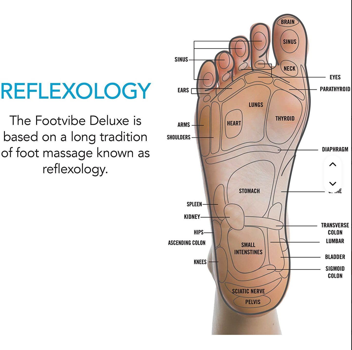 Foot & Leg Recovery System thumbnail 6